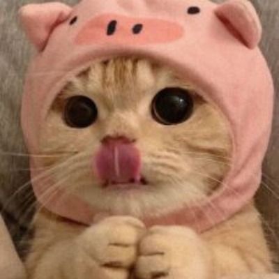 User thumbnail image