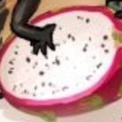 User thumbnail image