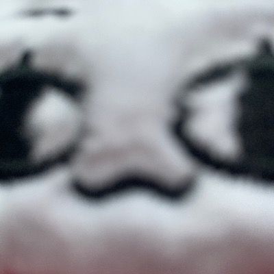 User thumbnail image