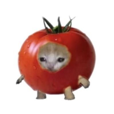 User thumbnail image