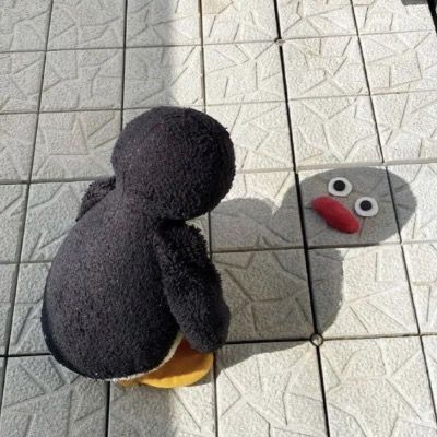 User thumbnail image