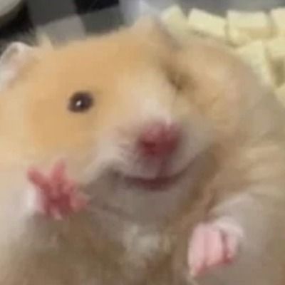 User thumbnail image