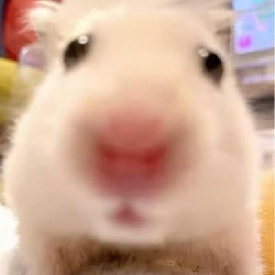 User thumbnail image