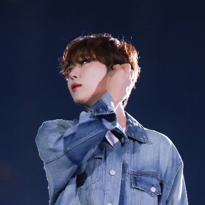 부꽃분