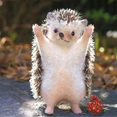 User thumbnail image