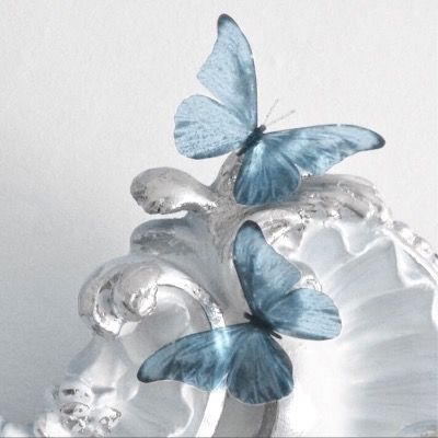 코오리 라비나🧊🦋