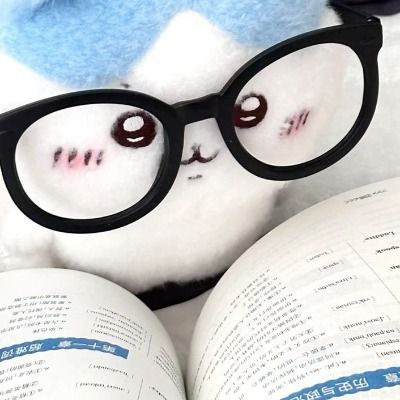 User thumbnail image