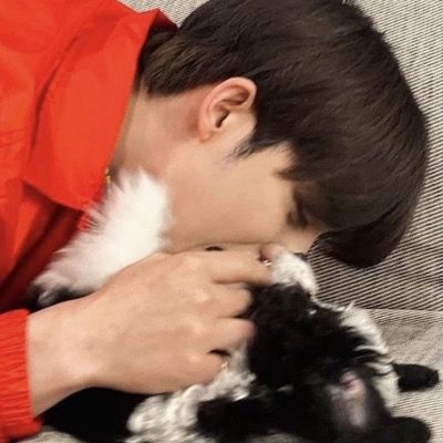 쪼미
