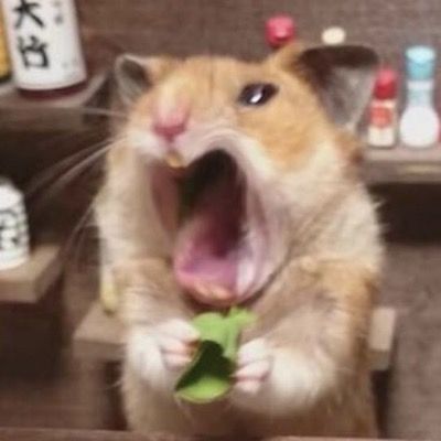 론이
