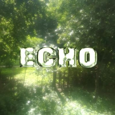 ECHO ent