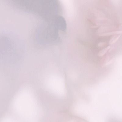 User thumbnail image