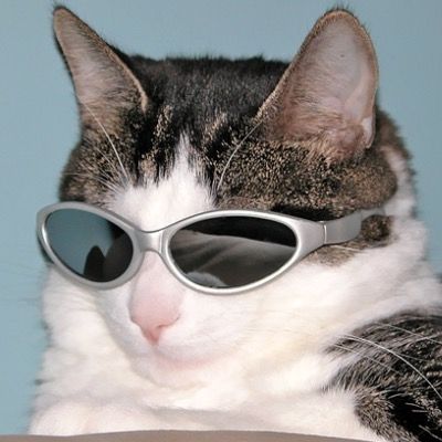 User thumbnail image