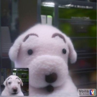 User thumbnail image