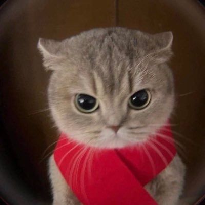 User thumbnail image