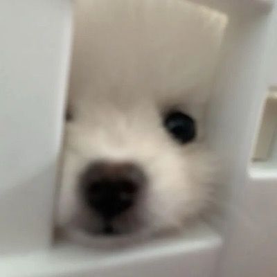 하양