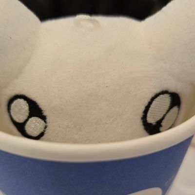 User thumbnail image
