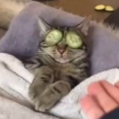 Zzz
