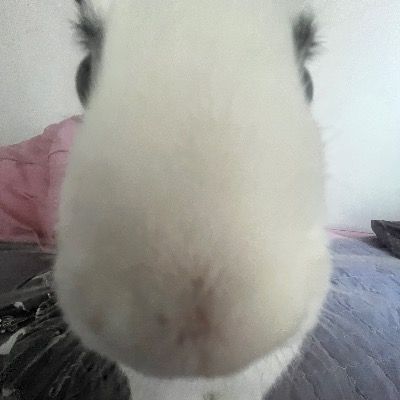 User thumbnail image