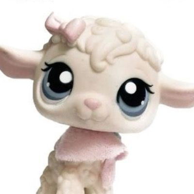 User thumbnail image
