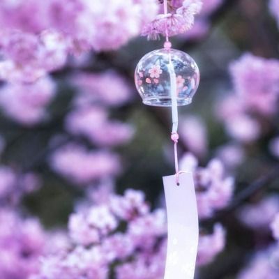유설아 - ( 🎐🪻 )