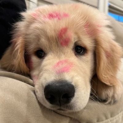 User thumbnail image