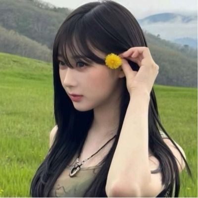 고미