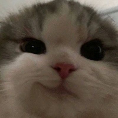 뵤