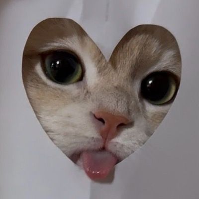 User thumbnail image
