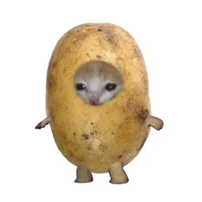 부바