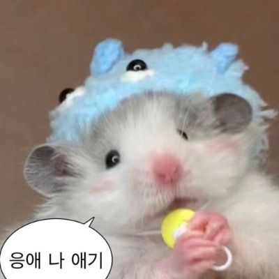 읁애즈