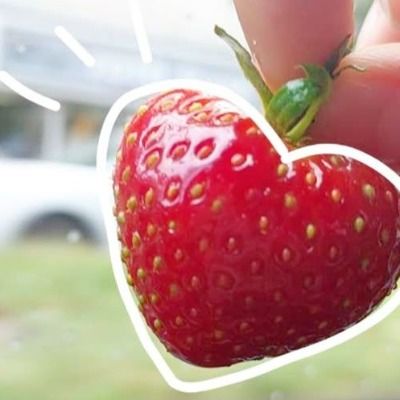 User thumbnail image