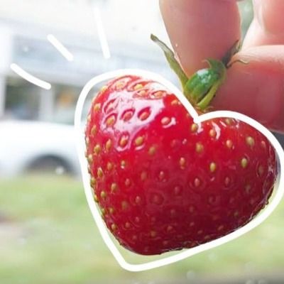 User thumbnail image