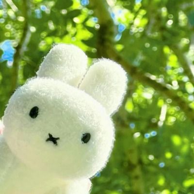 【 ❥︎ 𝙽𝙰𝙼𝙴'𝚂 𝙲𝚄𝚁𝙸𝙾𝚄𝚂 🍀 】