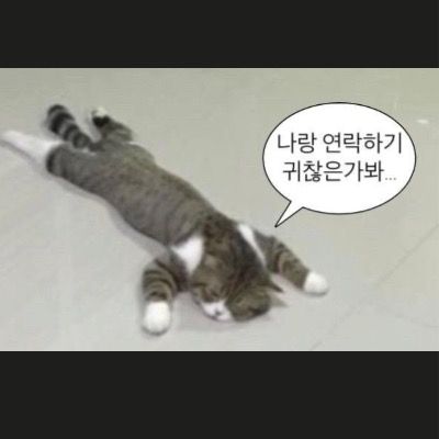 이벵때만 여는 큐링 - !