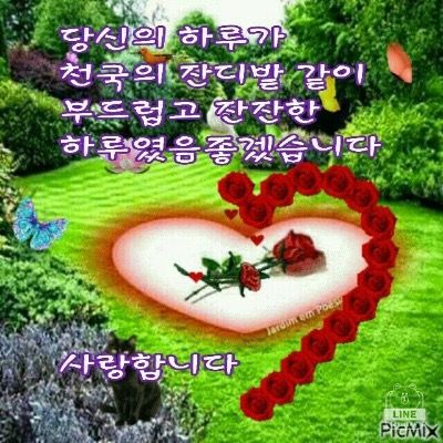 김철수