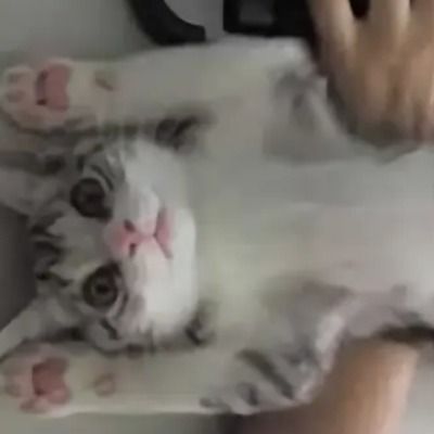 User thumbnail image