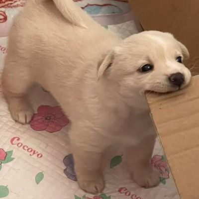 User thumbnail image