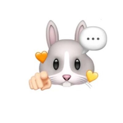 우림X선율X서유