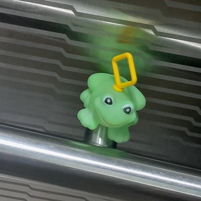 유수채 없는 유수채 라이브