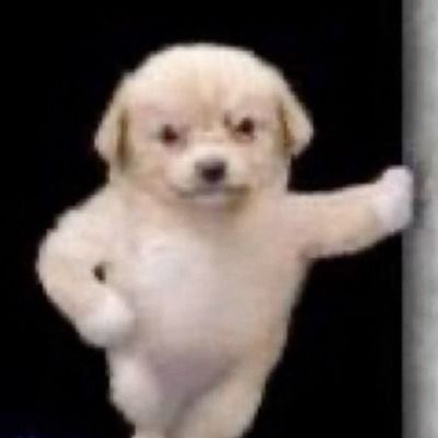 User thumbnail image