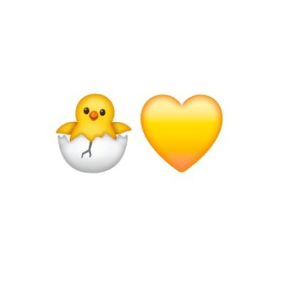 삐야기 🐣💛