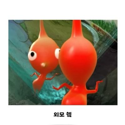 User thumbnail image