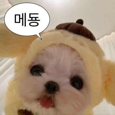 닥쳐벌레 😗