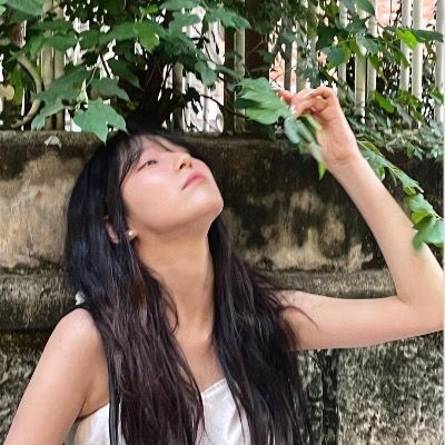 봄채련