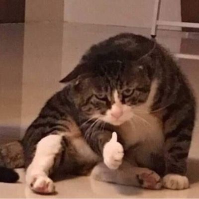 초록나무