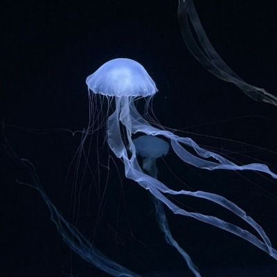 세담쓰담 윤세담