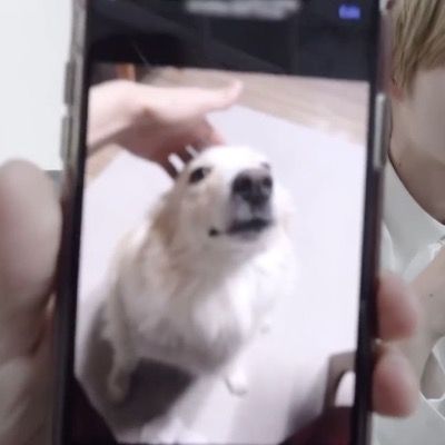Curious thumbnail