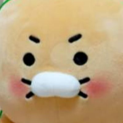 펭귄 🐧👀
