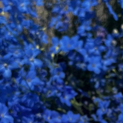 User thumbnail image