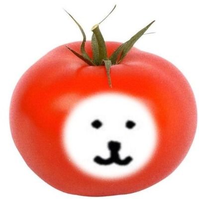🍅밀콩이 입덕한 설토밍🧂